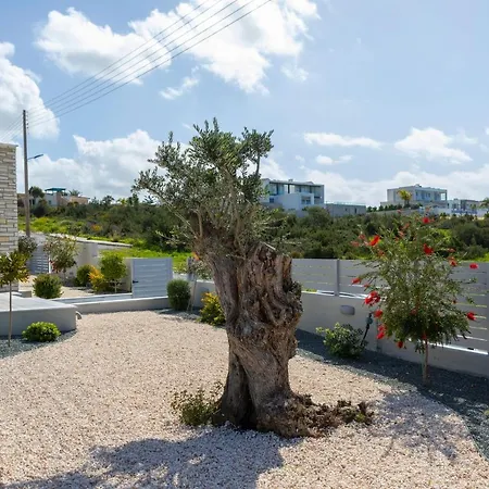 Adaris, Sea Caves Peyia * Paphos